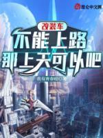 改裝車不能上路，那上天可以吧？