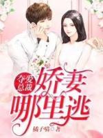 總裁奪愛：嬌妻哪里逃