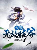 大宋無敵姑爺