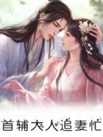 首輔大人追妻忙