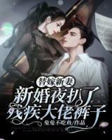 替嫁嬌妻：新婚夜扒了殘疾大佬褲子