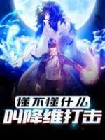 懂不懂什么叫降維打擊