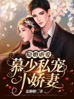 隱婚虐愛(ài)：慕少私寵小嬌妻
