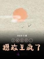 王妃走后，攝政王瘋了