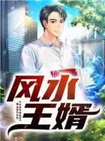 風水王婿
