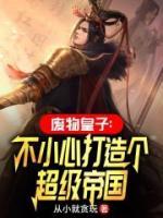 廢物皇子：不小心打造個超級帝國
