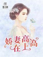 嬌妻高高在上