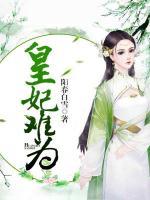 皇妃難為