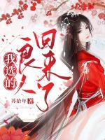 我選的良人回來(lái)了