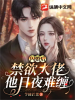 閃婚后禁欲大佬他日夜難纏