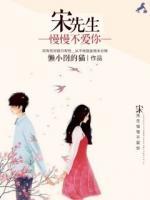 宋先生，慢慢不愛你