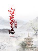 寂寂宮墻與卿歡