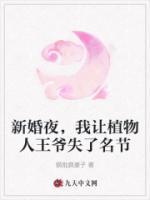 新婚夜，我讓植物人王爺失了名節(jié)