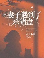 妻子遇到了殺豬盤