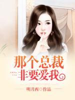 那個(gè)總裁非要愛我