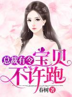 總裁有令：寶貝，不許跑！