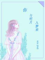 你與明月入夢來