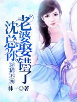 深情不晚：沈總，你老婆娶錯了