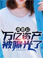 離婚后：萬億資產(chǎn)被曝光了