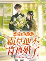 閃婚領(lǐng)證后：霸總他不肯離婚了！