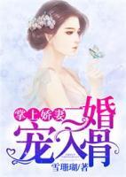 掌上嬌妻，二婚寵入骨