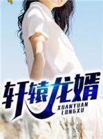軒轅龍婿