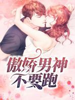 傲嬌男神不要跑