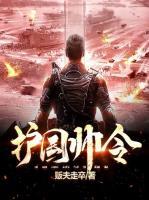 護(hù)國帥令