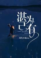 湛為己有