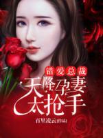 錯(cuò)愛總裁：天降孕妻太搶手
