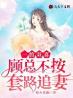 一胎雙喜：顧總不按套路追妻