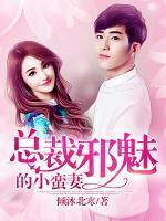 邪魅總裁的小蠻妻