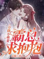 空降小萌妻：霸總，求抱抱