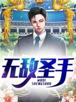無敵圣手