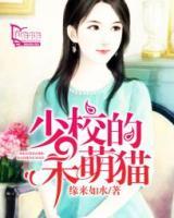 少校的呆萌貓
