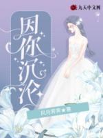 因你沉淪
