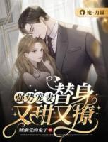 強勢寵妻，替身又甜又撩