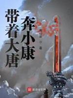 帶著大唐奔小康
