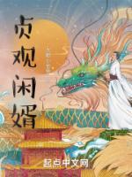 貞觀閑婿