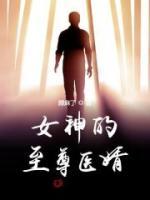 女神的至尊醫(yī)婿