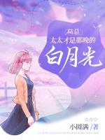 陸總，太太才是那晚的白月光