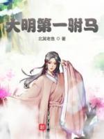 大明第一駙馬