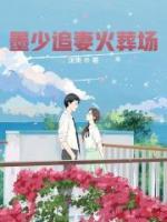 墨少追妻火葬場