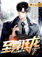 至尊狂龍