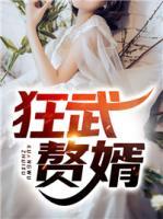 狂武贅婿