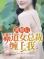 離婚后，霸道女總裁纏上我