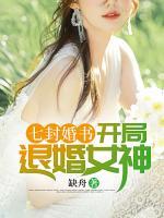七封婚書：開局退婚女神