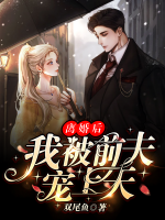 離婚后，我被前夫?qū)櫳咸?>
                    <a href=