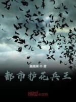 都市護花兵王