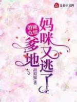 婚鎖危情：爹地，媽咪又逃了！